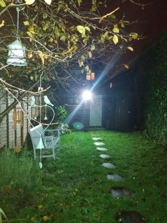 Cosy London Double Room Near Wimbledon المظهر الخارجي الصورة
